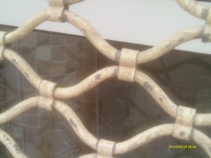 زنوج (5)