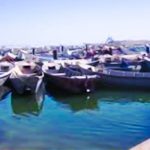 وزارة الصيد تحدد موعدا للتوقف البيولوجي للصيد البحري