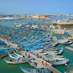 وزارة الصيد تحدد مواعيد استئناف نشاط الصيد