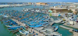 thumb1